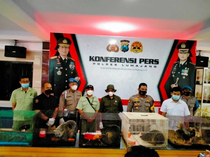 Polres Lumajang Mengamankan 11 Hewan Langka Diduga Korban Perdagangan