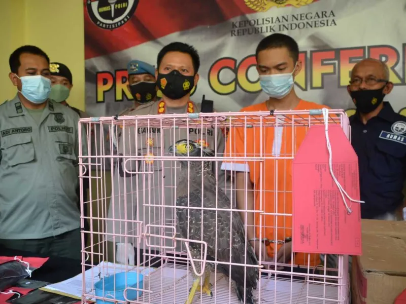 Polres Wonosobo Berhasil Menangkap Penjual Satwa Dilindungi