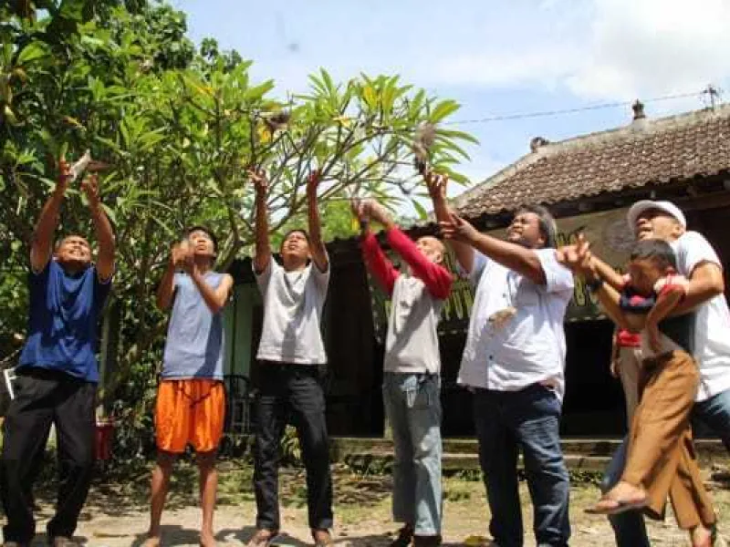 Populasi Burung Liar Berkurang, Warga Dukuh Atasi dengan Pelepaliaran