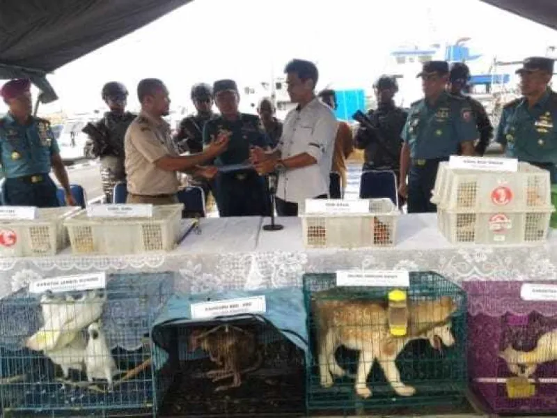PSL Kawal Persidangan Kasus Penyelundupan 78 Ekor Satwa di Pontianak
