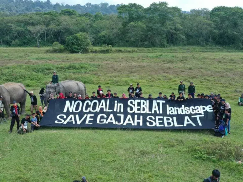 Rumah Satwa Terancam Tambang PT Inmas Abadi