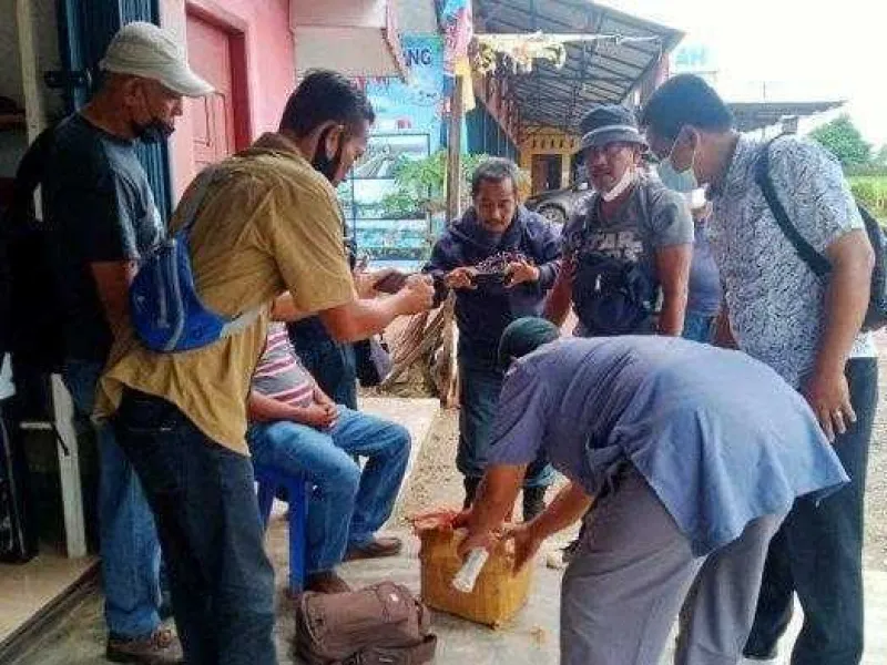 Sisik Trenggiling Sebanyak 8 Kg Berhasil Disita Tim Gakkum KLHK