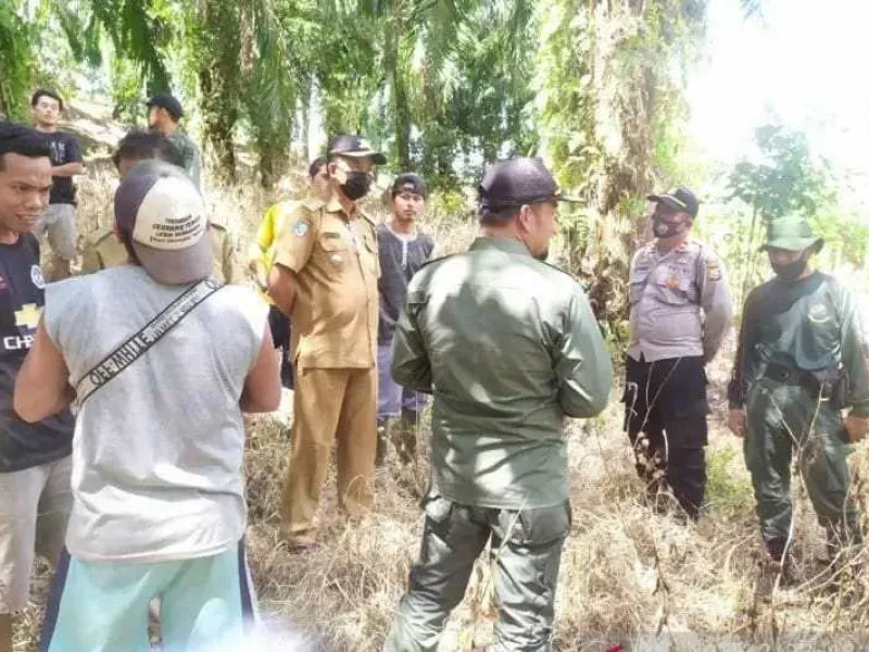 Tidak Menemukan Bukti Keberadaan Harimau, BKSDA Bengkulu Belum Pasang Perangkap