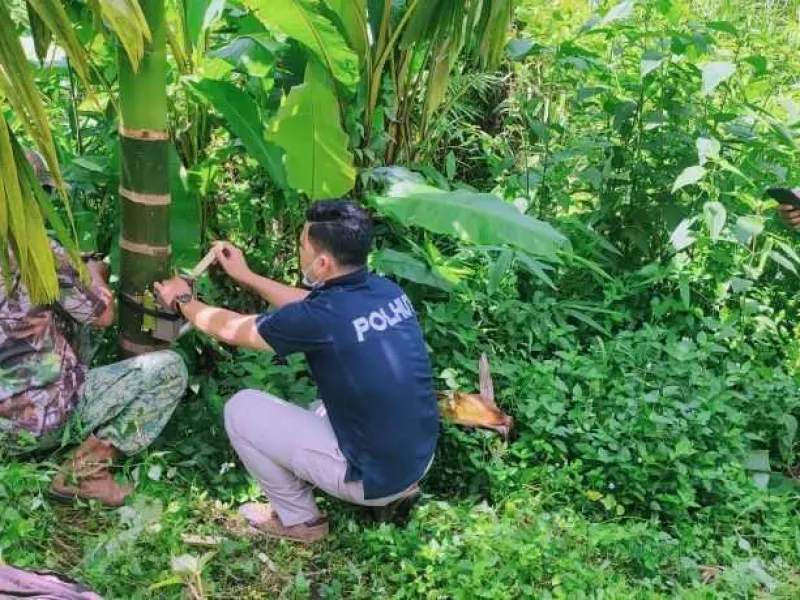 Warga Mengaku Bertemu Beruang Madu, BKSDA Jambi Pasang Kamera Trap