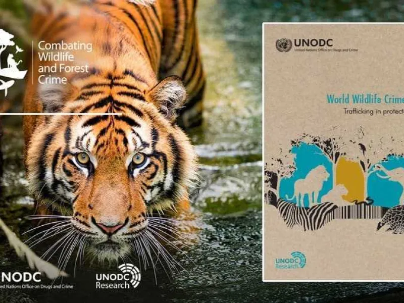 Webinar UNODC: Perangi Perdagangan Ilegal Satwa Liar di Indonesia