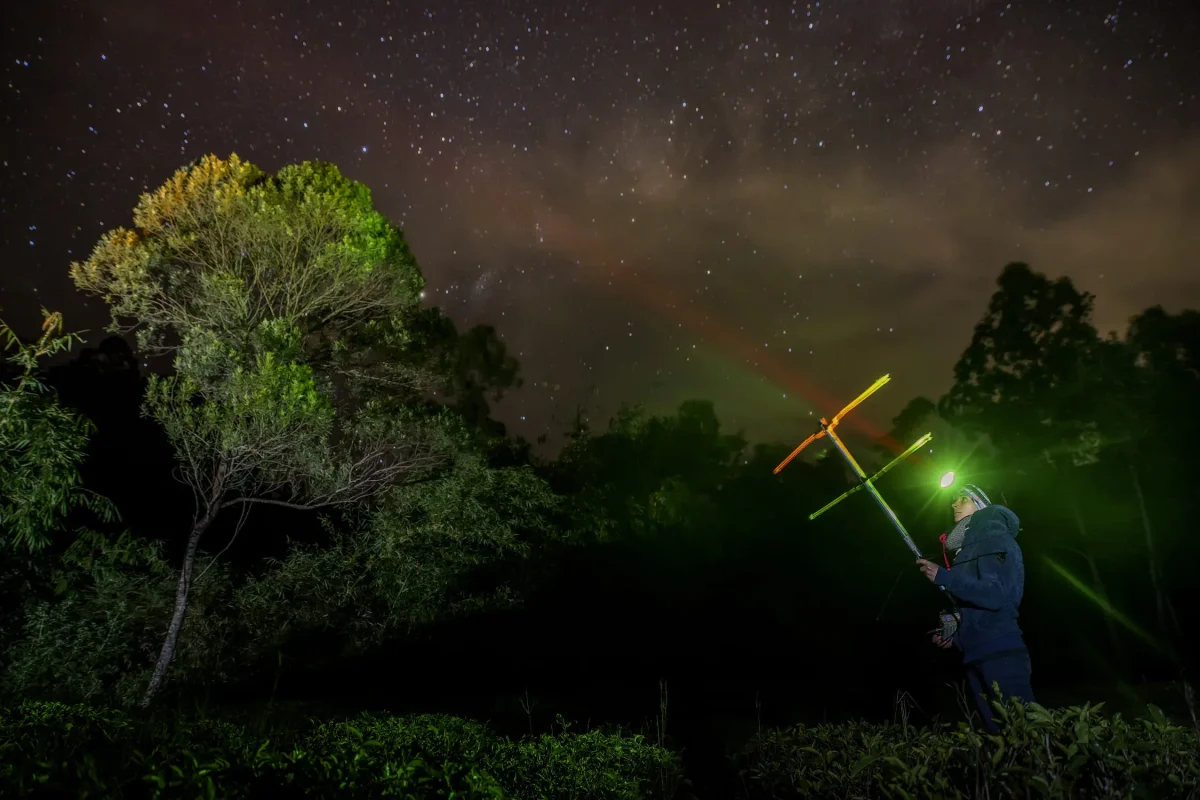Seorang peneliti dari LFP menggunakan antena dan radio receiver untuk mencari sinyal kukang jawa di habitatnya. Kegiatan ini sering kali berlangsung hingga dini hari.