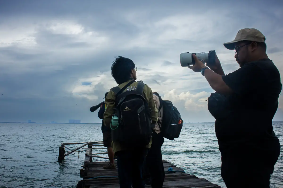 Kami menyeberang selama sekitar 30 menit. Setelah itu, kapal bersandar dan Pulau Rambut menyambut. Dermaganya menjadi salah satu spot favorit untuk mengamati berbagai jenis burung air yang berterbangan di sekitar pulau.