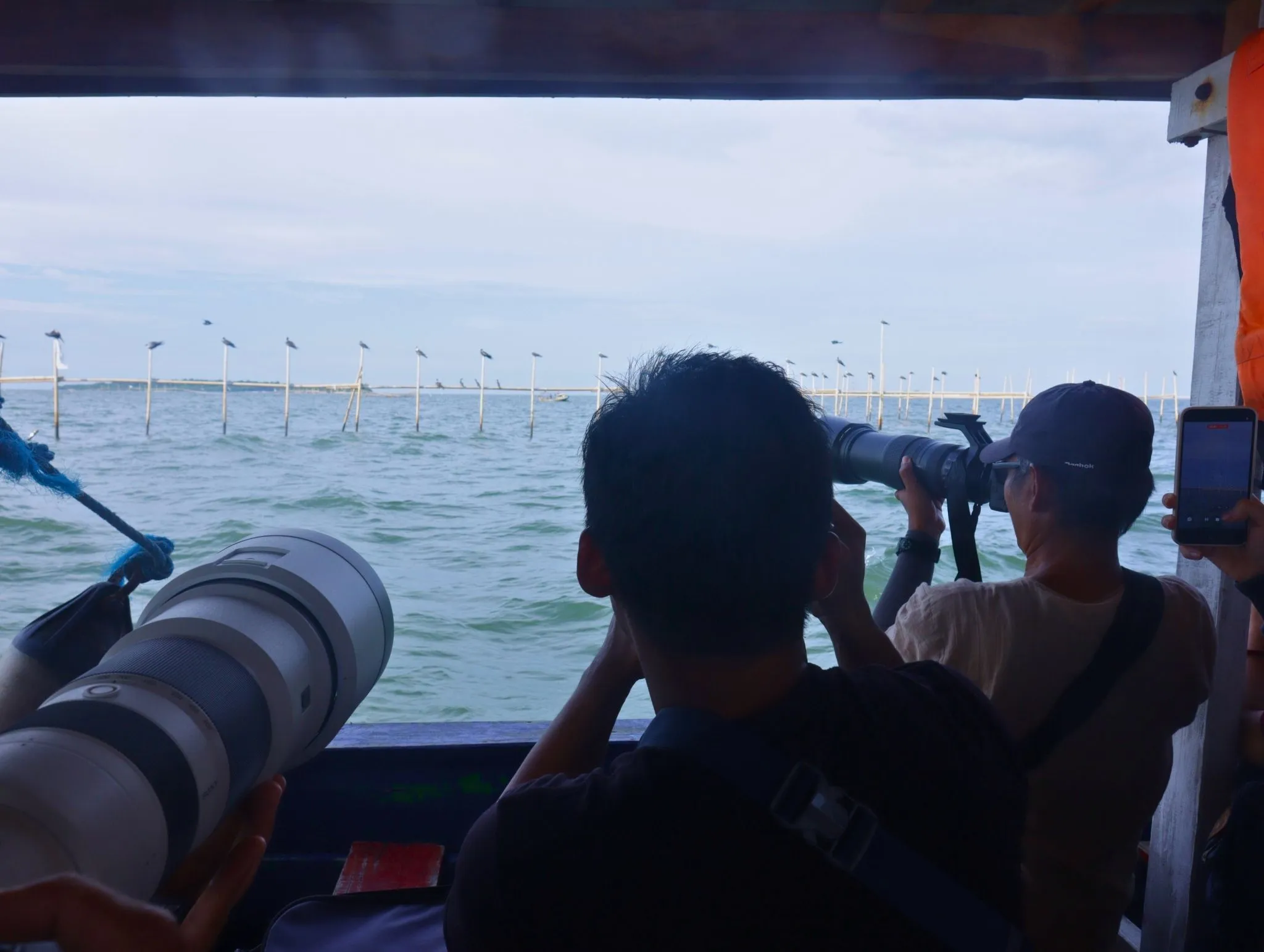 Sebuah keberuntungan! Kami bertemu dengan puluhan burung air berbagai spesies saat berlayar pulang. Para peserta antusias untuk kembali memotret.
