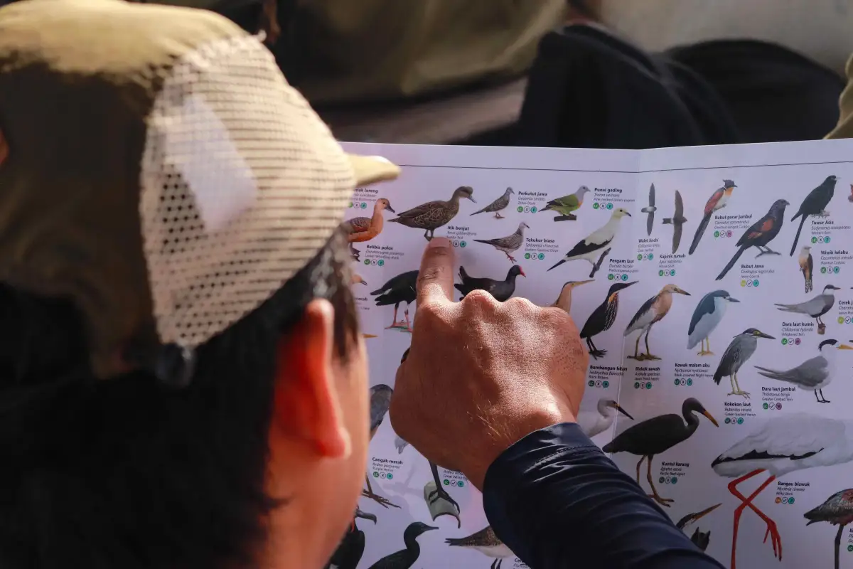 Panduan identifikasi burung seperti ini menjadi bekal penting untuk memastikan setiap spesies burung air yang dijumpai tercatat dengan akurat.