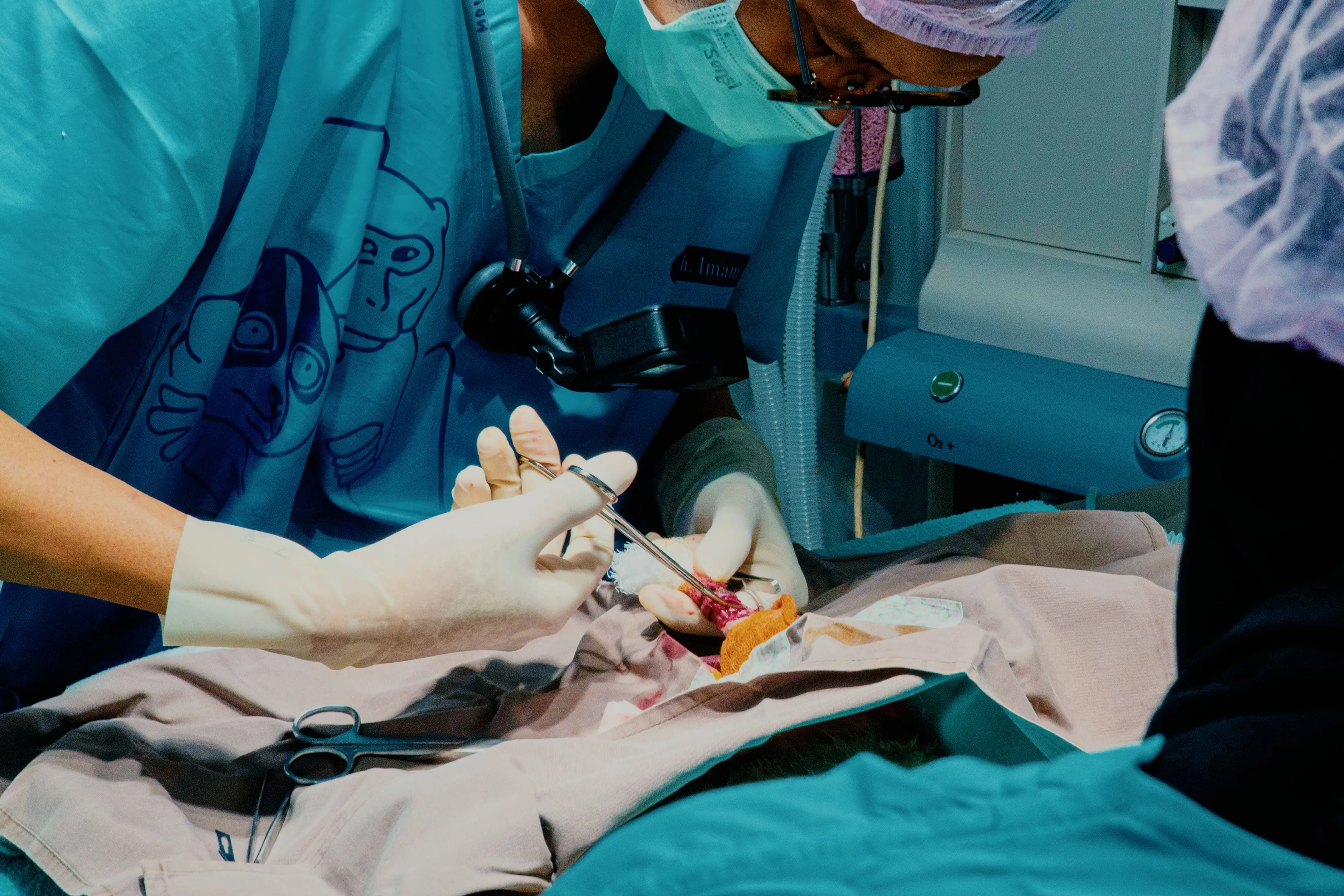 Travo, Kukang Korban Elektrokusi yang Diamputasi