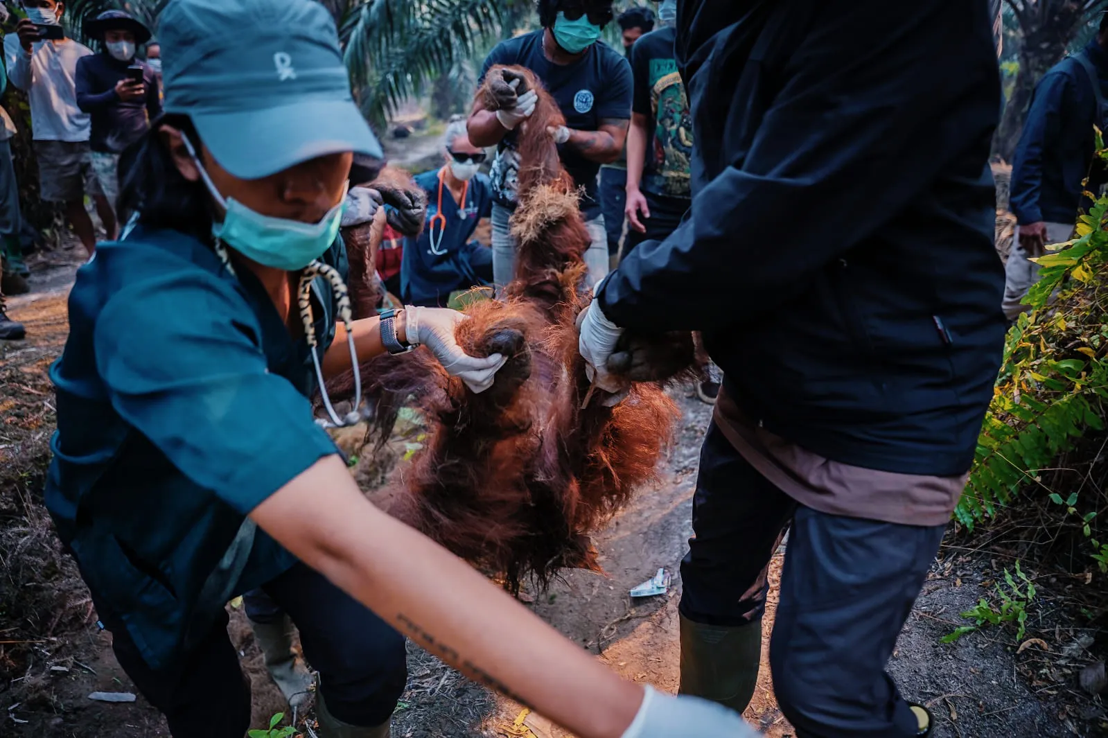 Dari Bara ke Nestapa, Perjuangan Sampurna Menjemput Udara