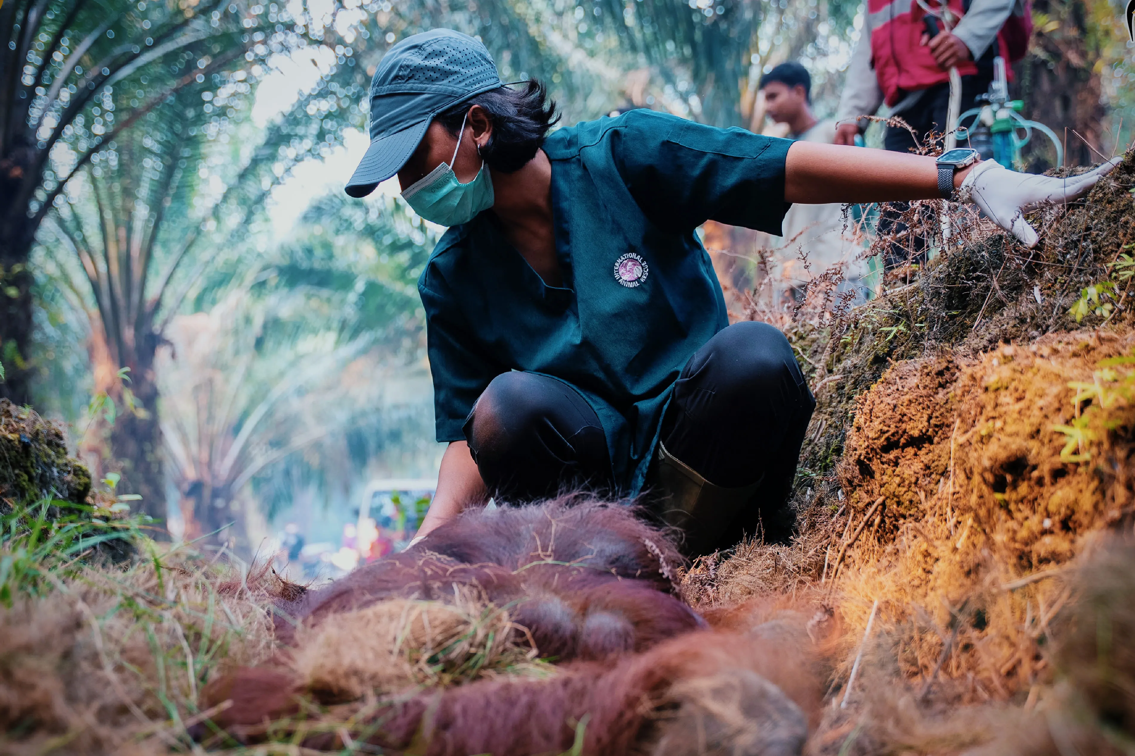Dari Bara ke Nestapa, Perjuangan Sampurna Menjemput Udara